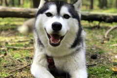 20180908_105359746_iOS